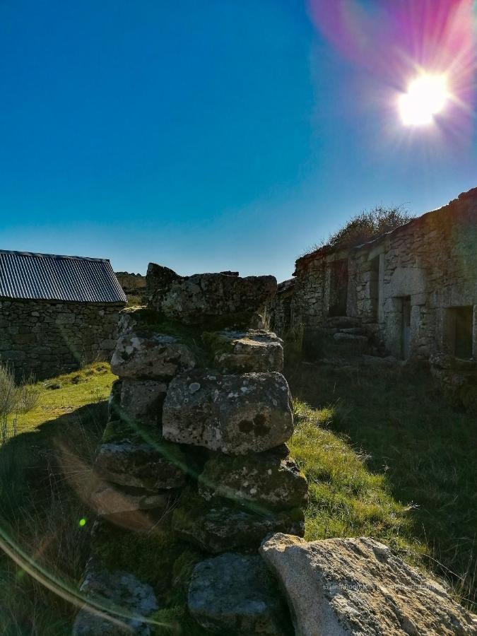 Casa Largo S Lourenco E Casa Da Videira Mazes Екстер'єр фото