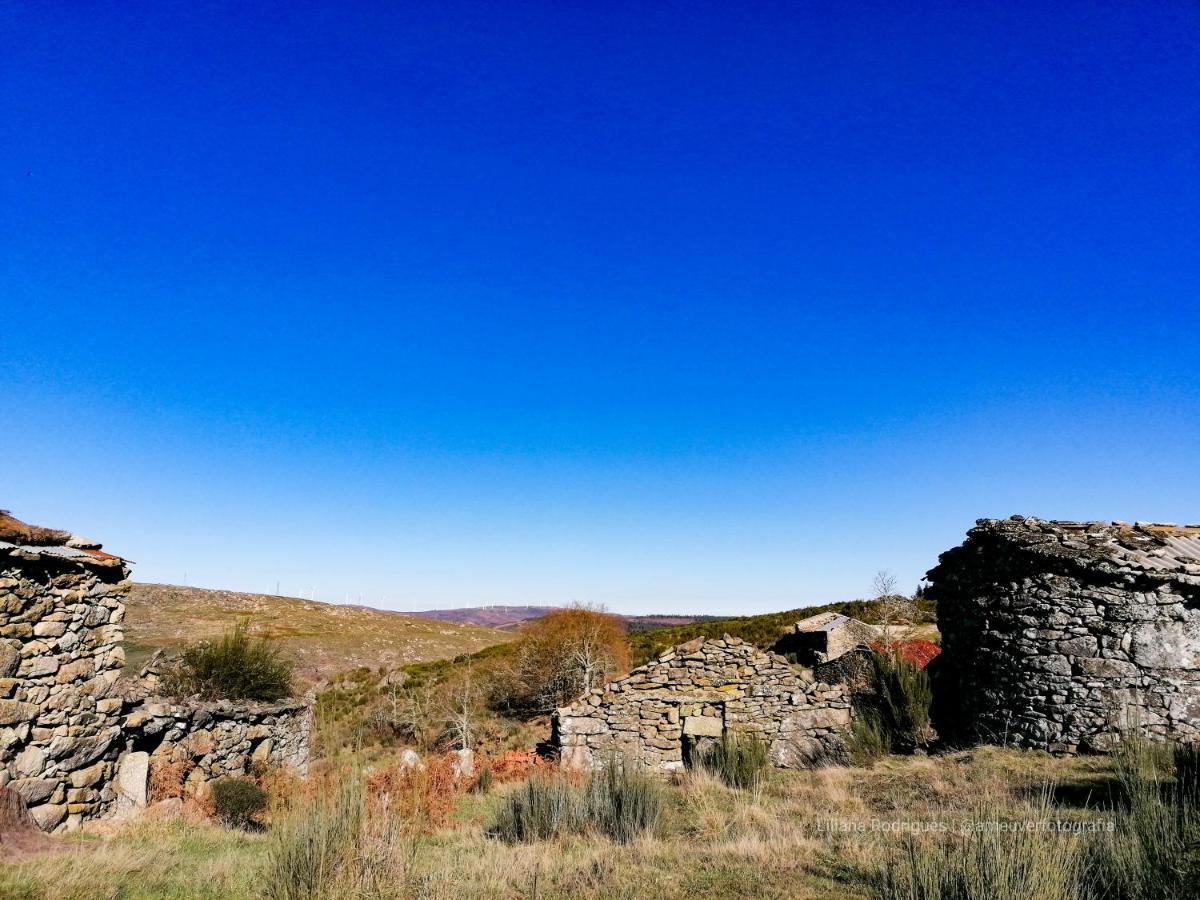 Casa Largo S Lourenco E Casa Da Videira Mazes Екстер'єр фото